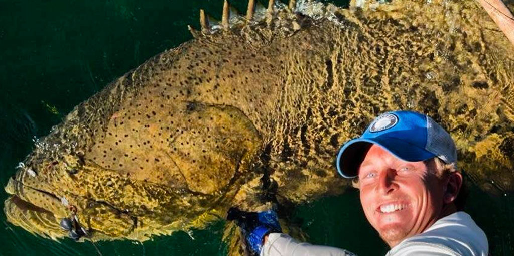 home-large-grouper